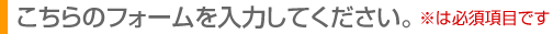 こちらのフォームを入力してください。